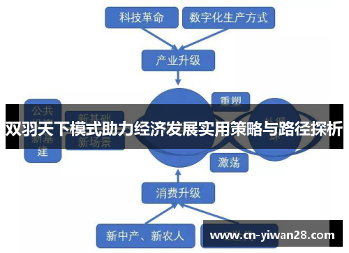 双羽天下模式助力经济发展实用策略与路径探析
