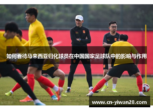 如何看待马来西亚归化球员在中国国家足球队中的影响与作用