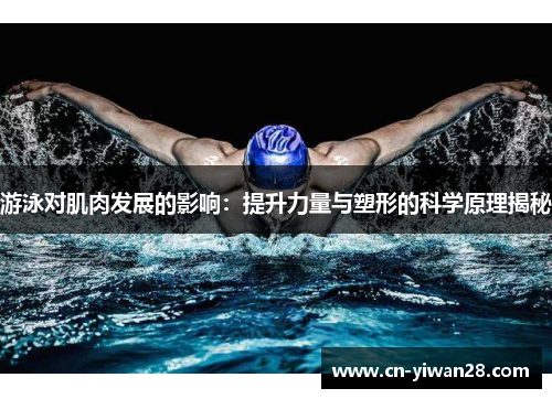 游泳对肌肉发展的影响：提升力量与塑形的科学原理揭秘