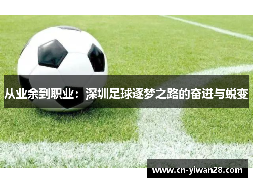从业余到职业：深圳足球逐梦之路的奋进与蜕变