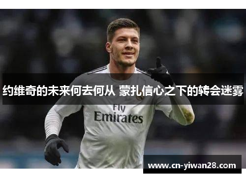 约维奇的未来何去何从 蒙扎信心之下的转会迷雾