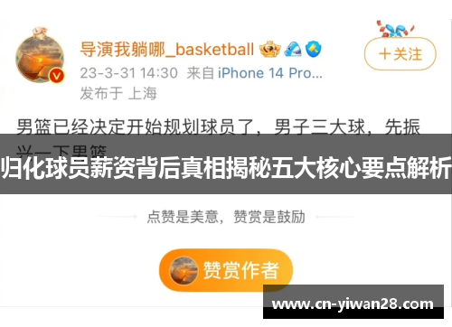 归化球员薪资背后真相揭秘五大核心要点解析