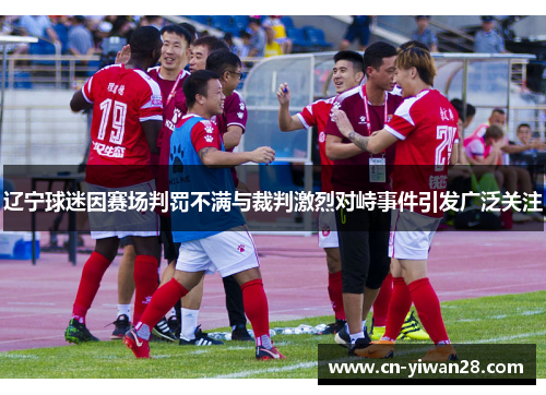 辽宁球迷因赛场判罚不满与裁判激烈对峙事件引发广泛关注