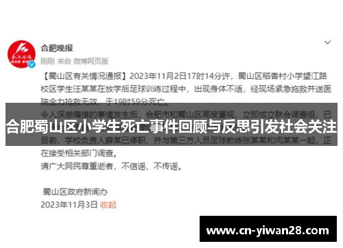合肥蜀山区小学生死亡事件回顾与反思引发社会关注