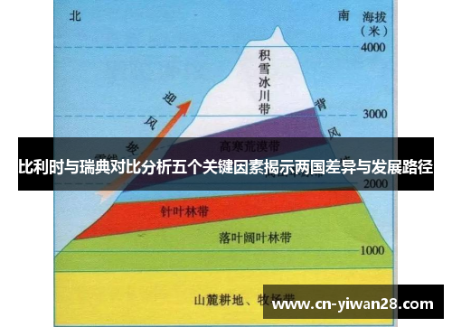 比利时与瑞典对比分析五个关键因素揭示两国差异与发展路径
