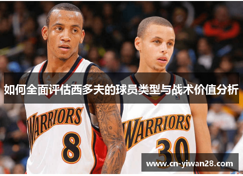 如何全面评估西多夫的球员类型与战术价值分析